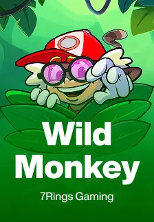 Wild Monkey